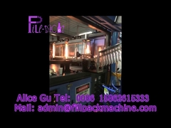 آلة نفخ الزجاجات الأوتوماتيكية سعة خمسة جالونات